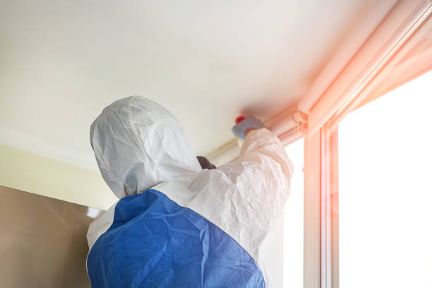 Trusted Hays, NC Mold Removal & Remediation Experts