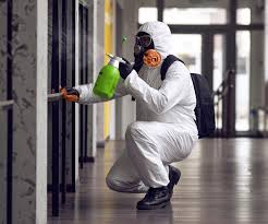 Mold Documentation for Insurance Claims in Hays, NC